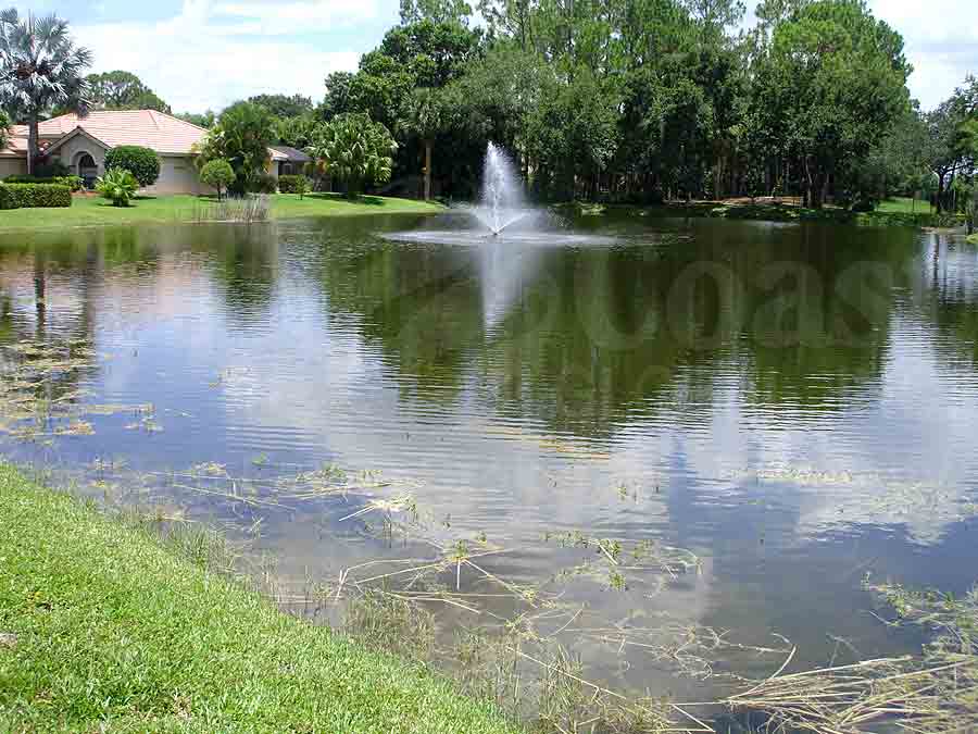SAWGRASS OF NAPLES View of Water